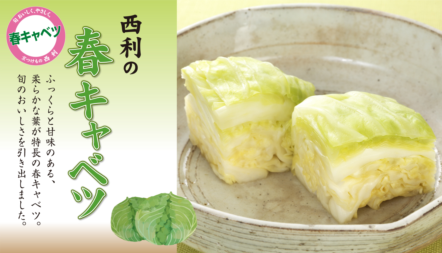 ]旬のおすすめ、春キャベツ