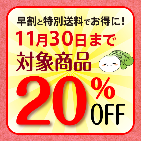 早割と特別送料でお得に！11月30日まで対象商品は20%OFF